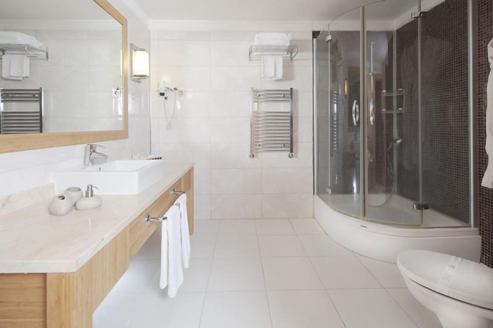 Small Large Suite | Bathroom | Shower, hair dryer, slippers, towels
