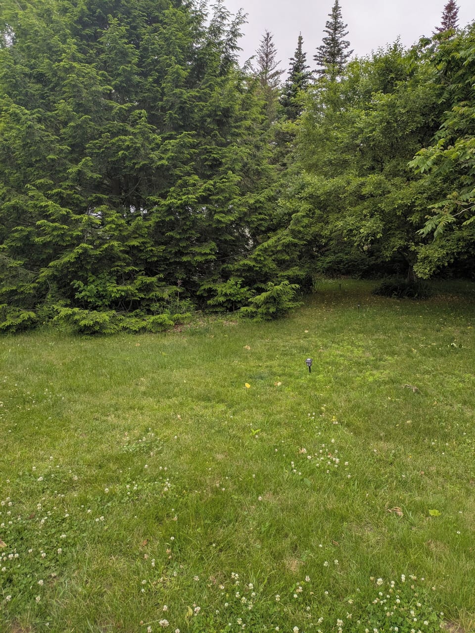 Short path to Tiny Home with solar lights