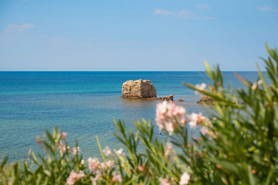 Beach in the vicinity of the property