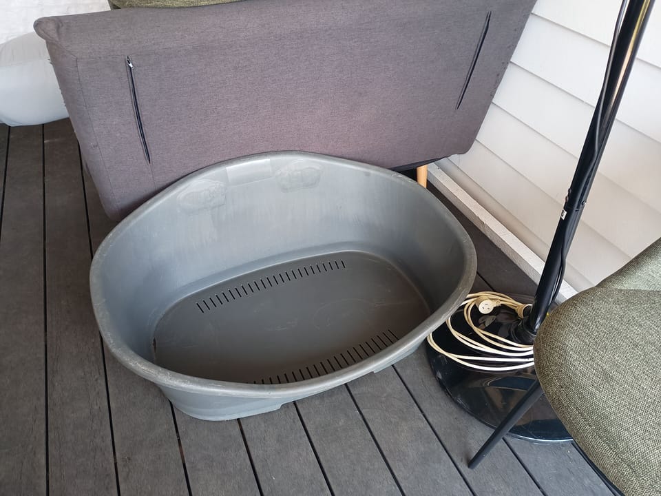 Dog Bed on site