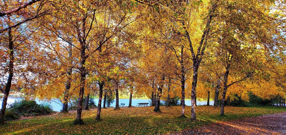 Nearby view from the Green Lake walking path