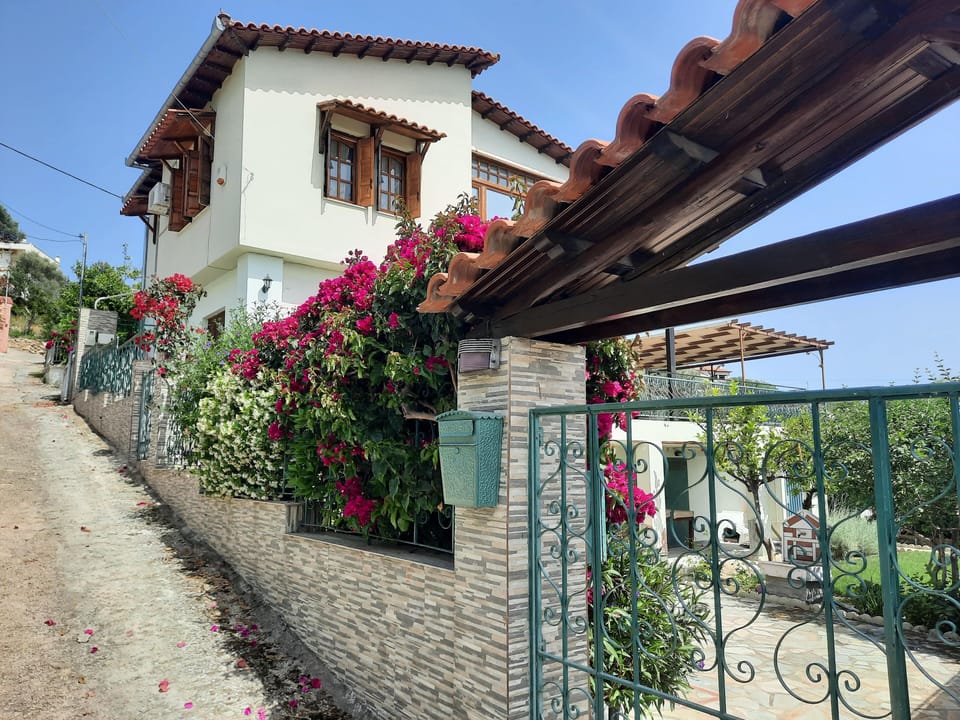 Street view of the house 