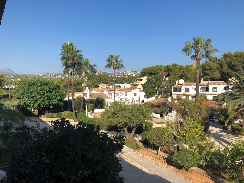 View from patio
