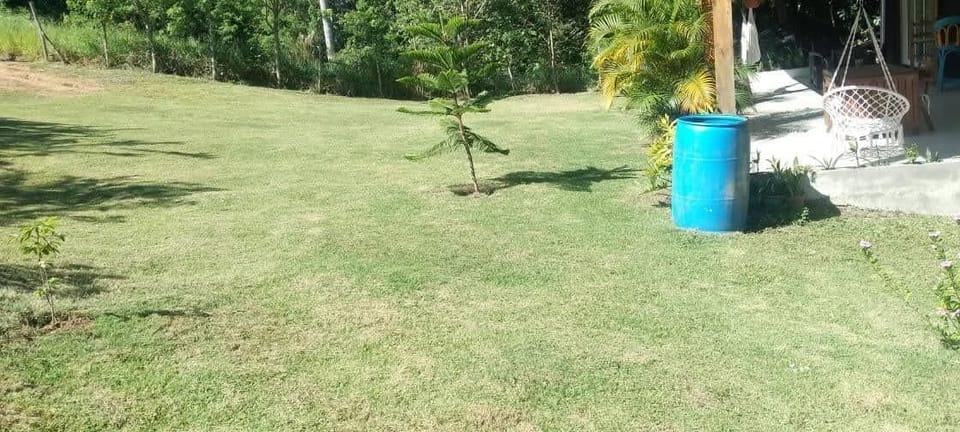 Comfort Bungalow | Garden view