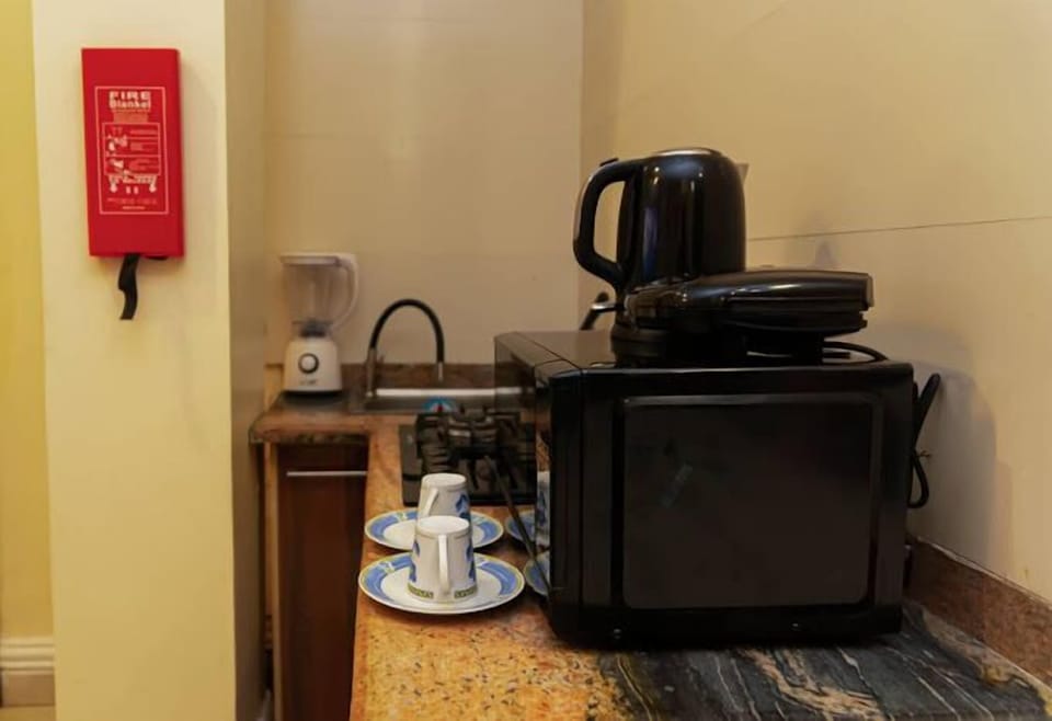 Economy Apartment, Balcony, City View | Private kitchen | Fridge, microwave, oven, stovetop