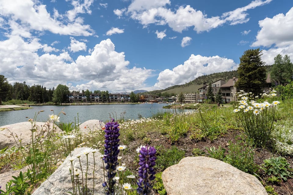 Wildflowers in bloom at Lakeside Village during the Summer.