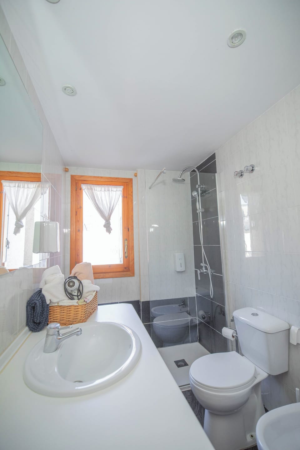 Hair dryer, bidet, towels, soap
