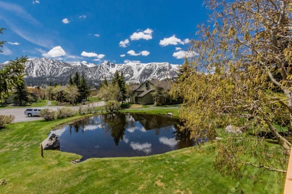 Peaceful lake views from the property