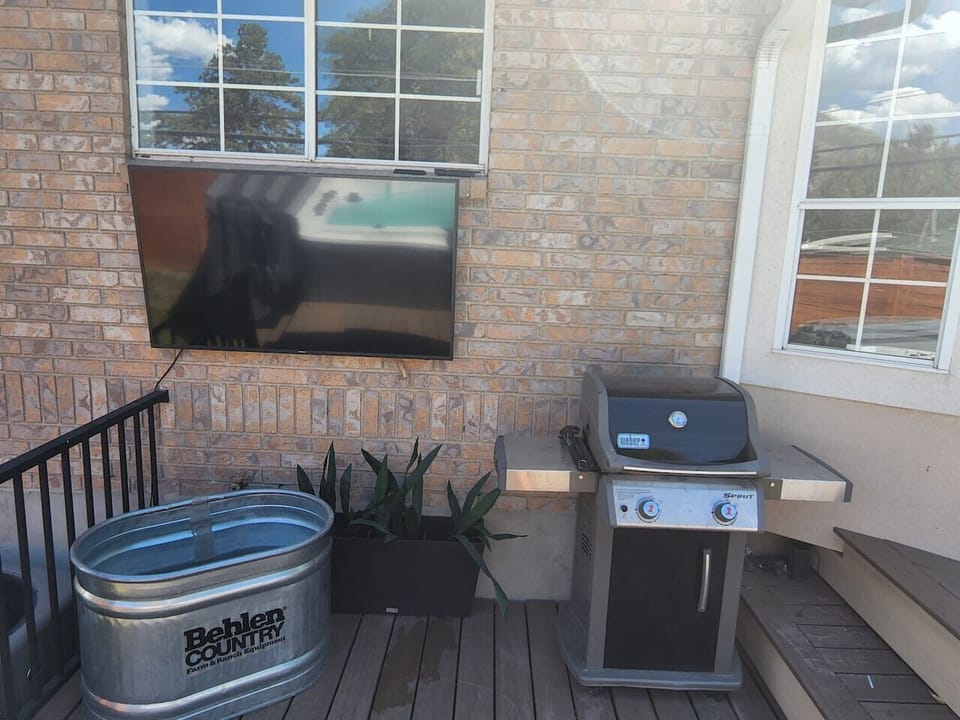 Gas Propane Grill