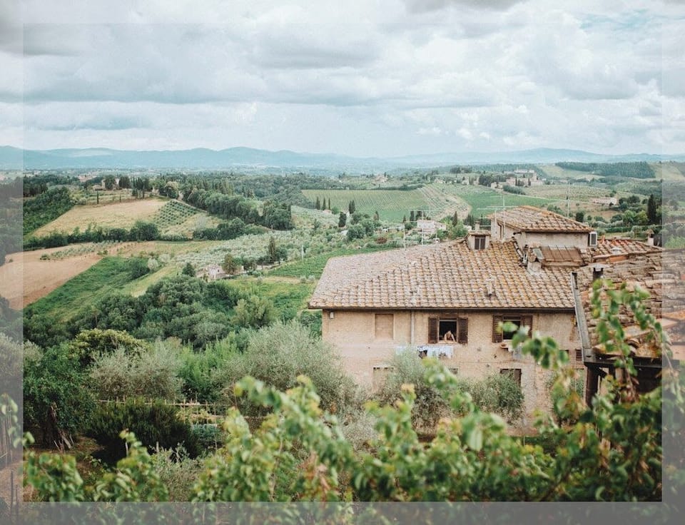 Featuring "Vinyards" by Lauren Caroll Photography