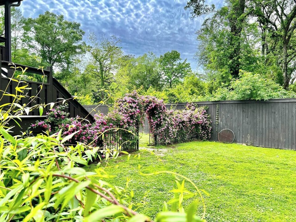Yard