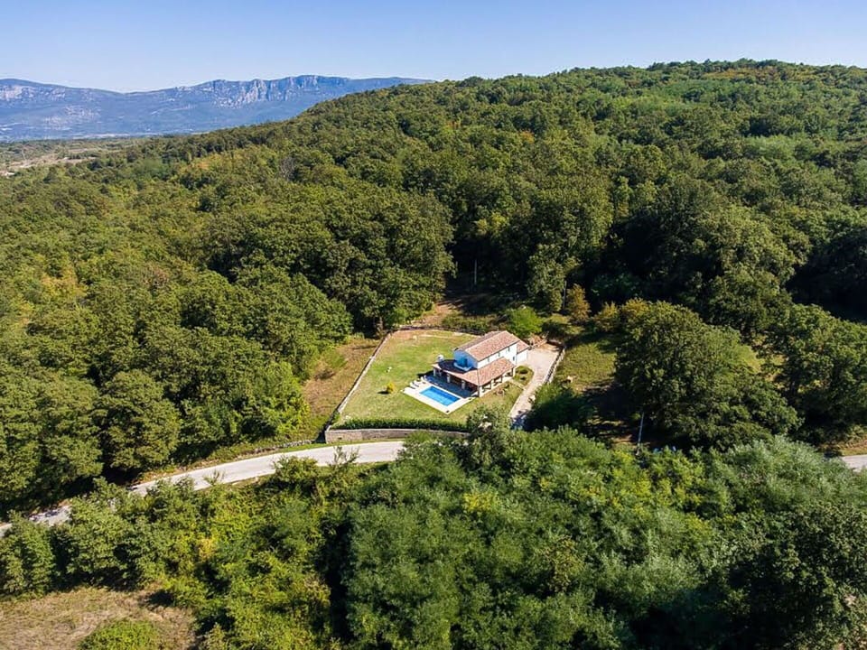 Tree, Natural Environment, Landscape, Rural Area, Forest, Hill Station, Estate, Cottage, Bird'S-Eye View, Aerial Photography