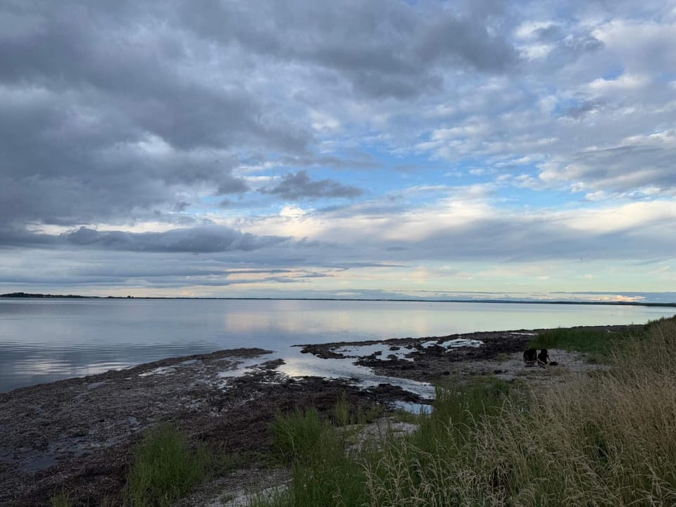 House | Water view