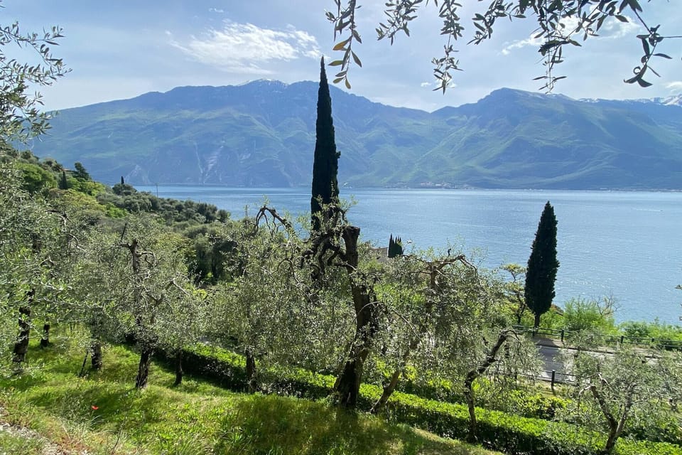 View from Holiday Home [summer]