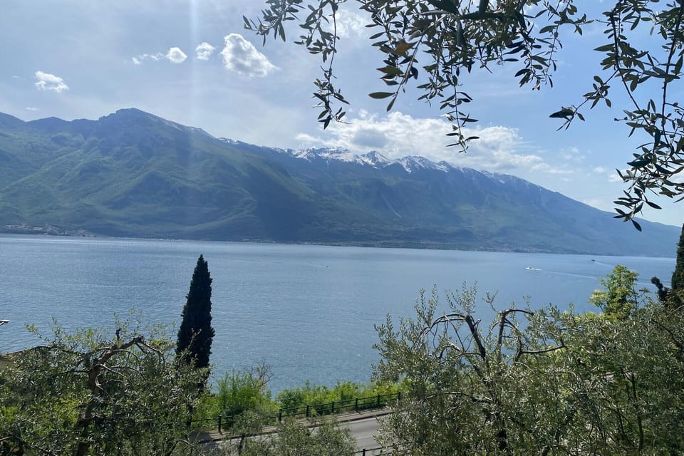 View from Holiday Home [summer]