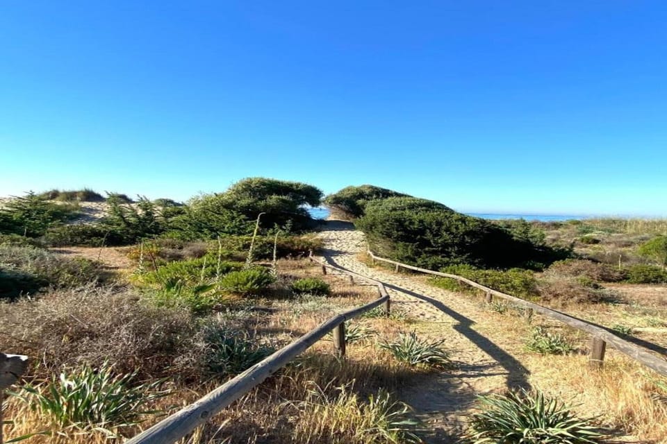 Surroundings [summer] (1-5 km)