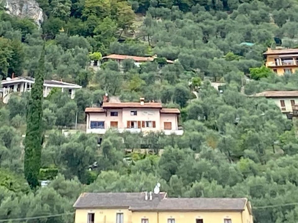 Apartment | Exterior