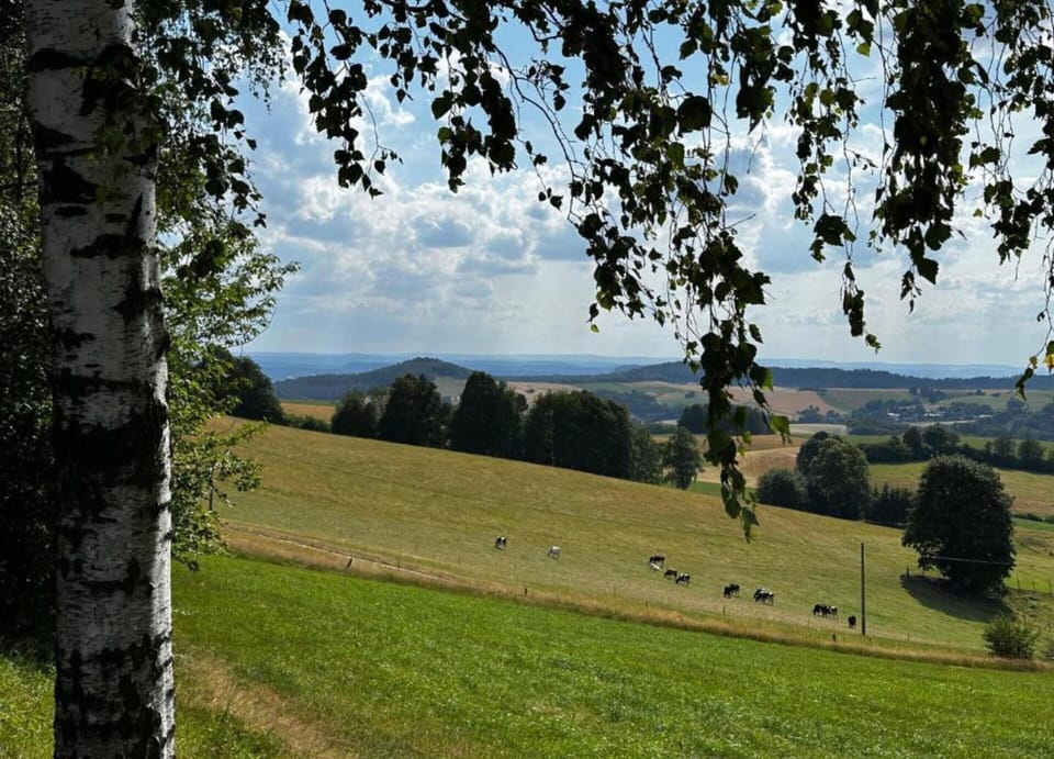 House | View from property
