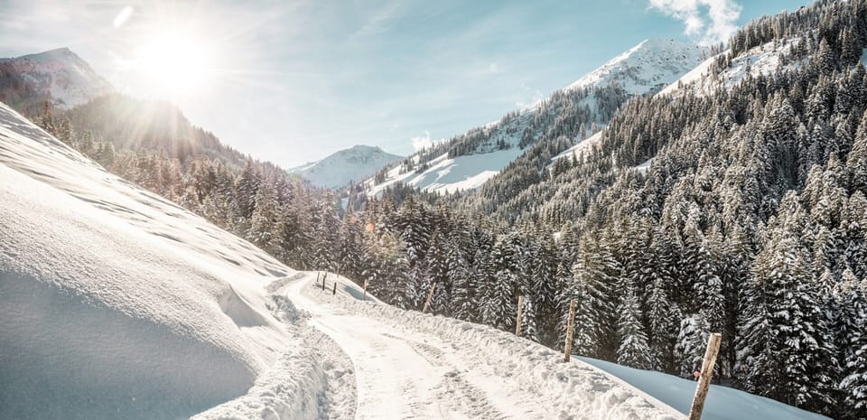 Apartment | Snow and ski sports