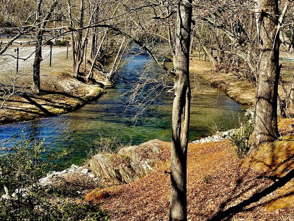 Beautiful Chattahoochee River View AND Direct Access to Water