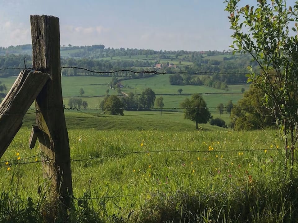 Immediate Surroundings [summer] (<1 km)