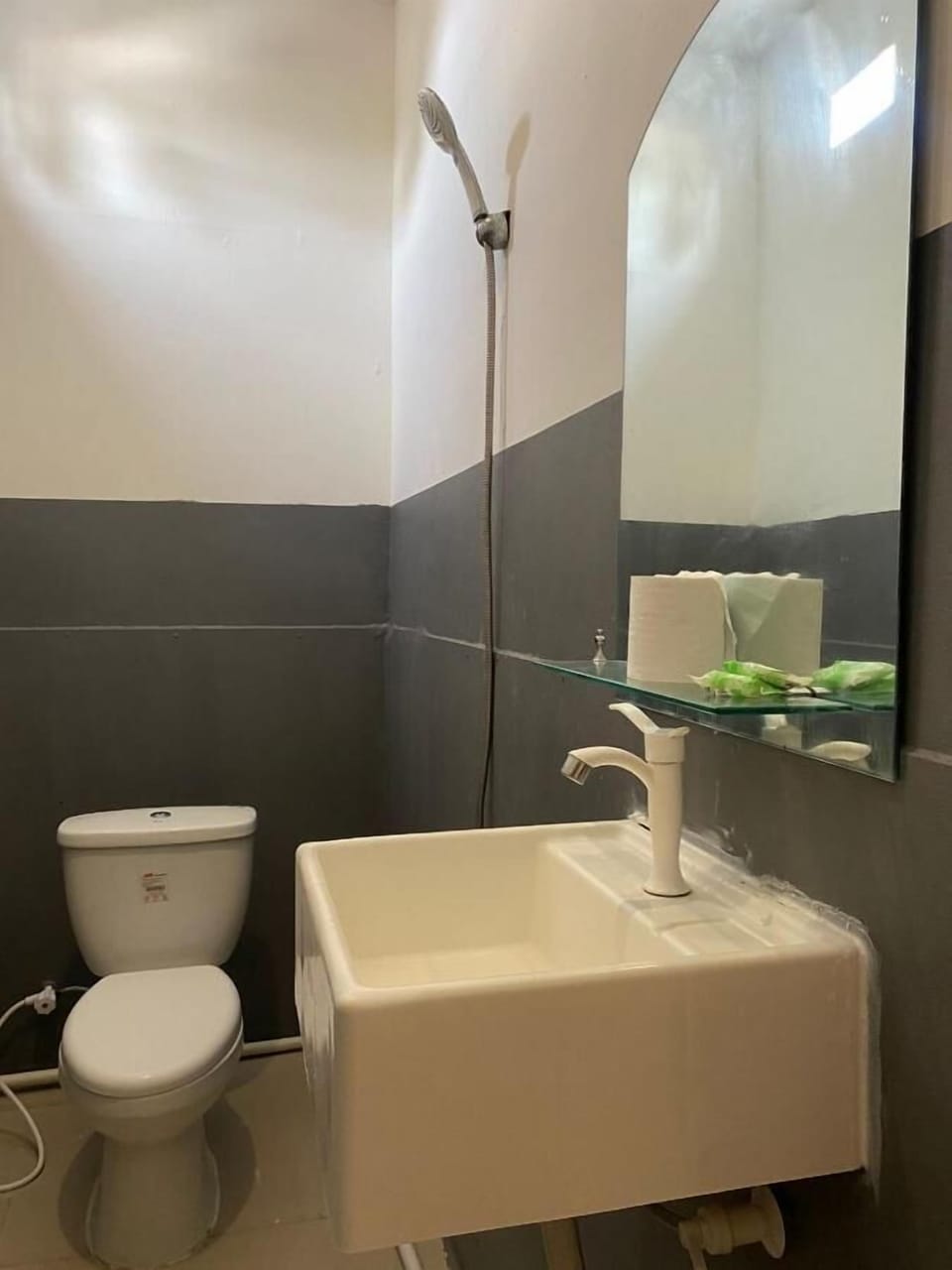 Shower, towels, toilet paper