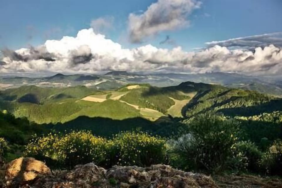 Il panorama mozzafiato sulle colline romagnole