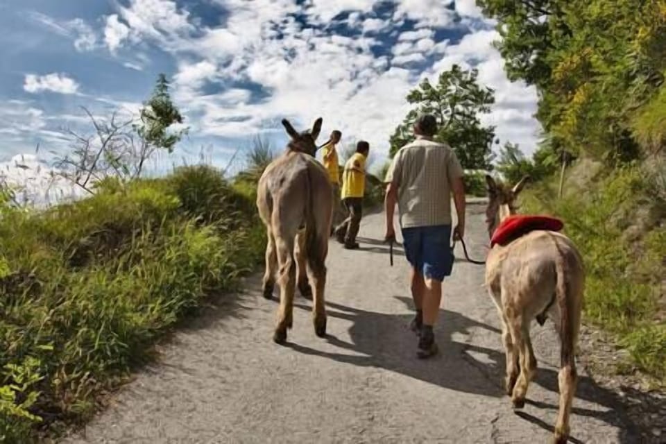 Su richiesta passeggiata panoramica con gli animali della fattoria, per adulti e bambini