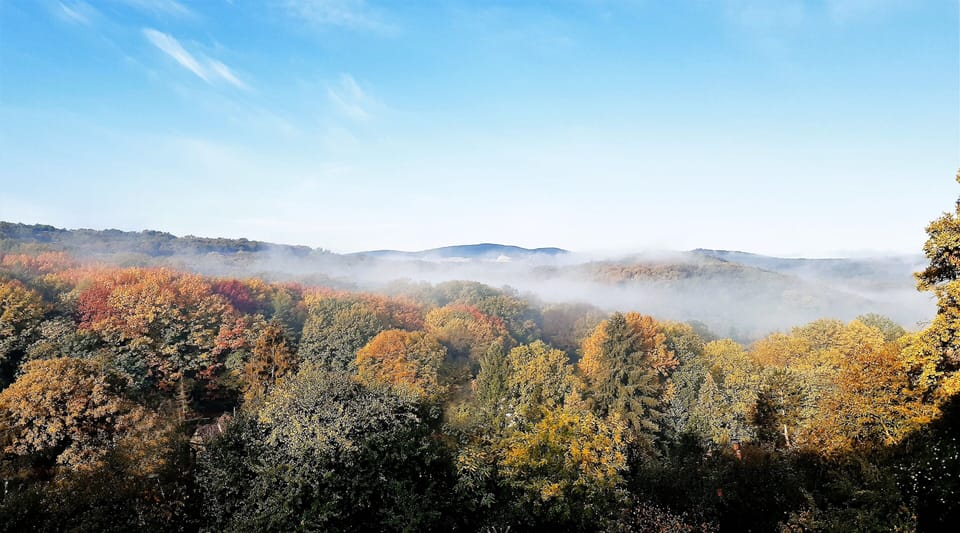 panoráma
