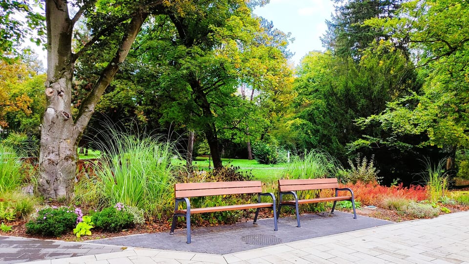 park