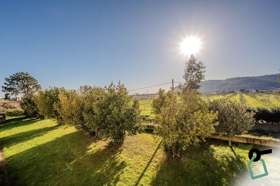 Land view from property