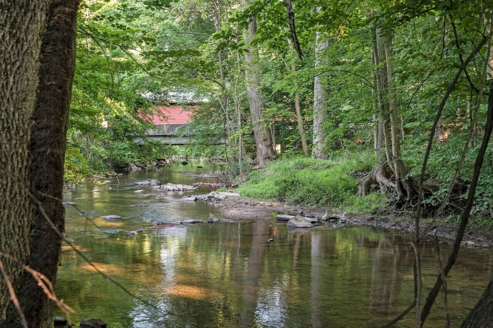 Serene woodland creek offering a peaceful natural setting