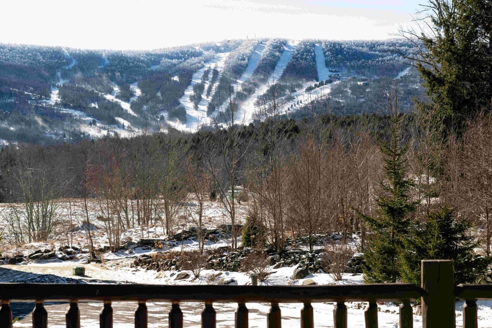 Direct ski views from the terrace