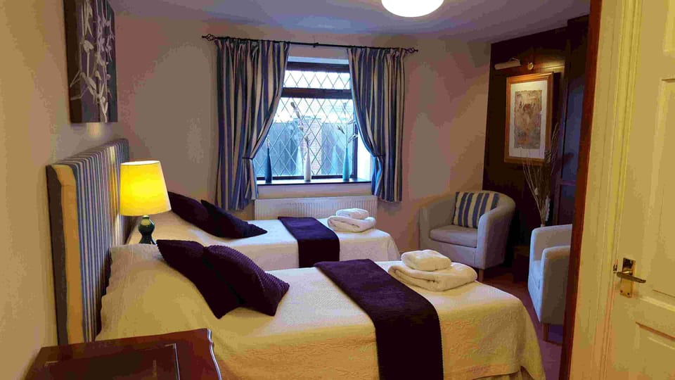 Deluxe Twin Room | Desk, WiFi (free), bed sheets