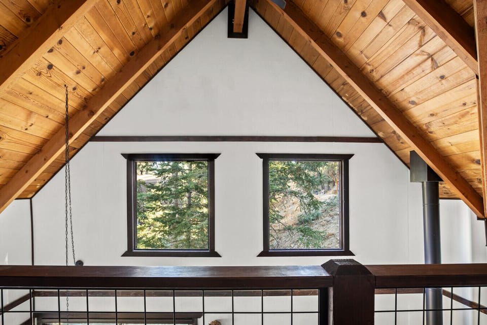 Forest Views from Every Window