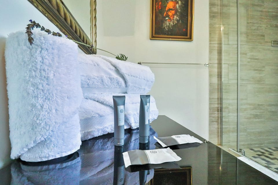 Hair dryer, towels, soap, shampoo