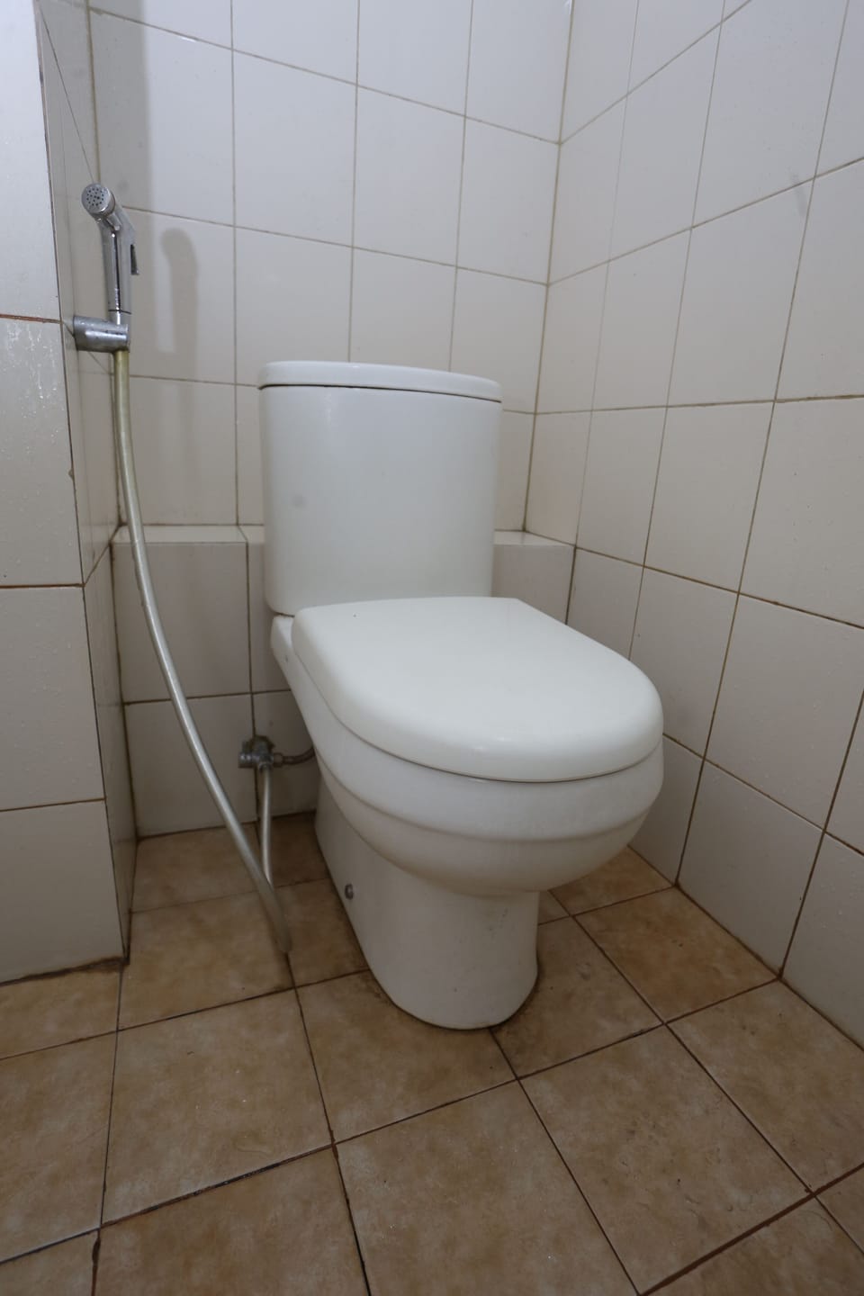 Deluxe Double Room | Bathroom | Shower, towels, soap, shampoo