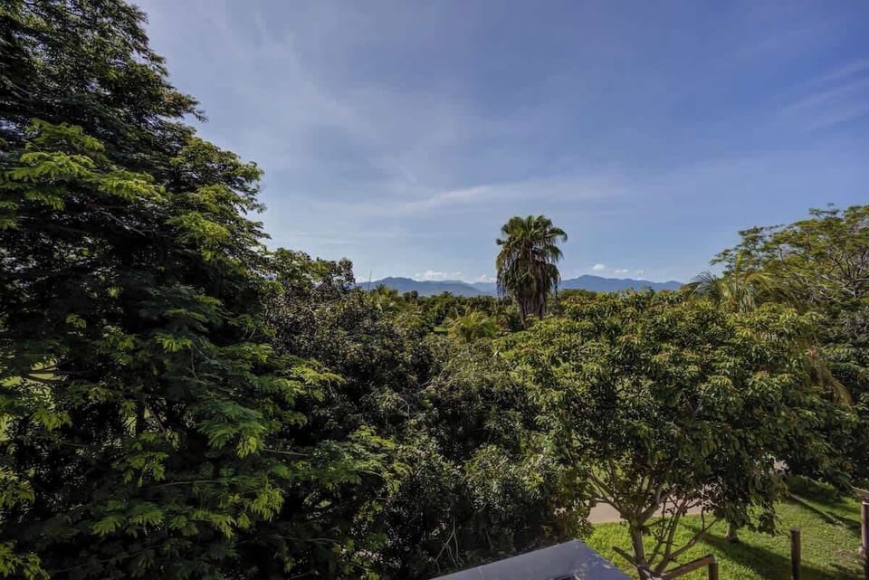 El Tigre - Views of lush greenery