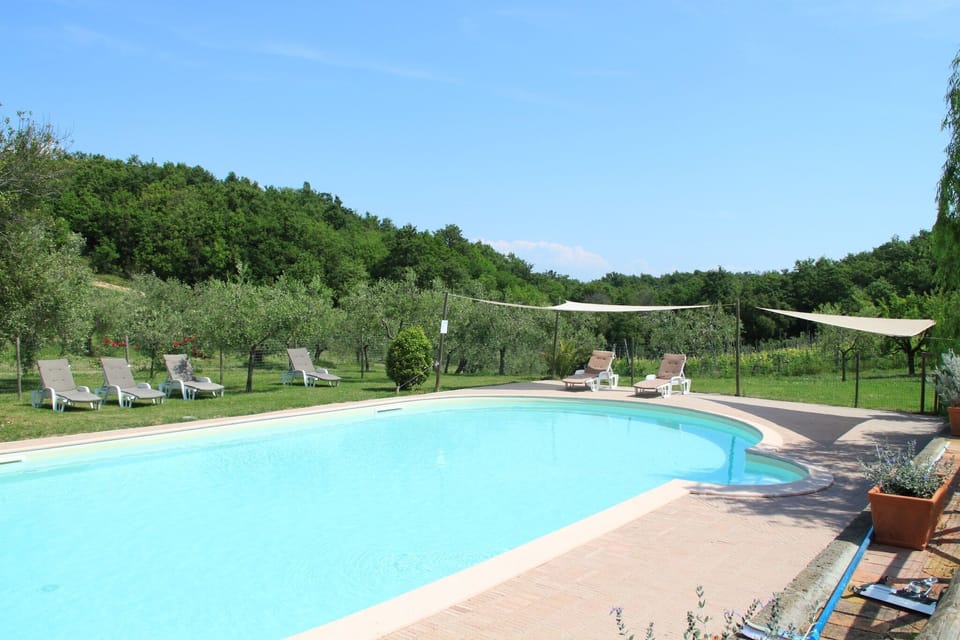 Holiday Home Swimming Pool