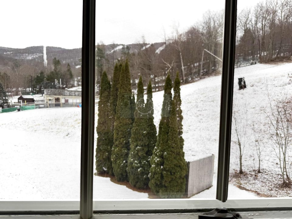 Mountain Facing, The View is AWESOME from your window!  Close to elevator and Lobby, but breathtaking and serene
