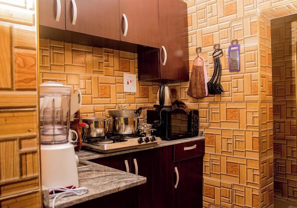 Economy Apartment, Balcony, City View | Private kitchen | Fridge, microwave, oven, stovetop