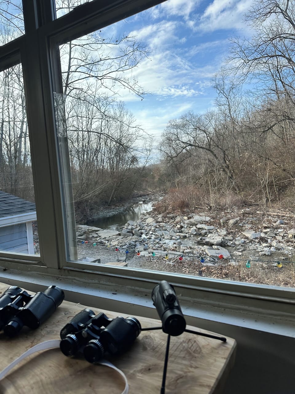 View from property