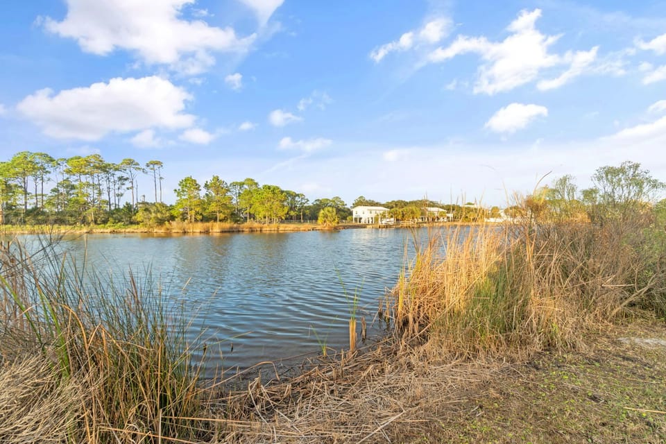 Water Views