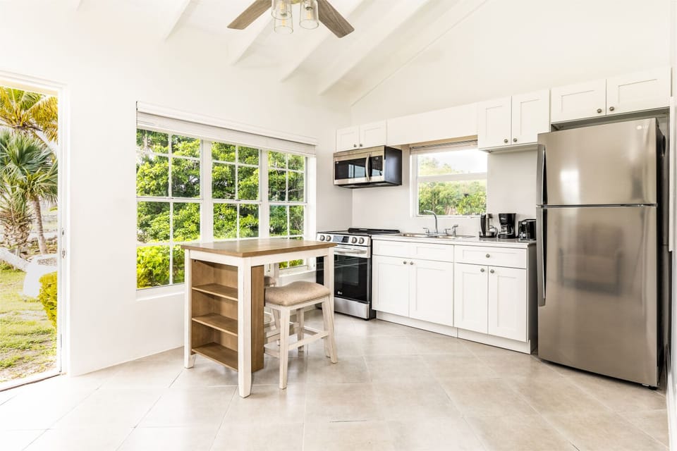 Apartment, 1 Queen Bed | Private kitchen | Electric kettle