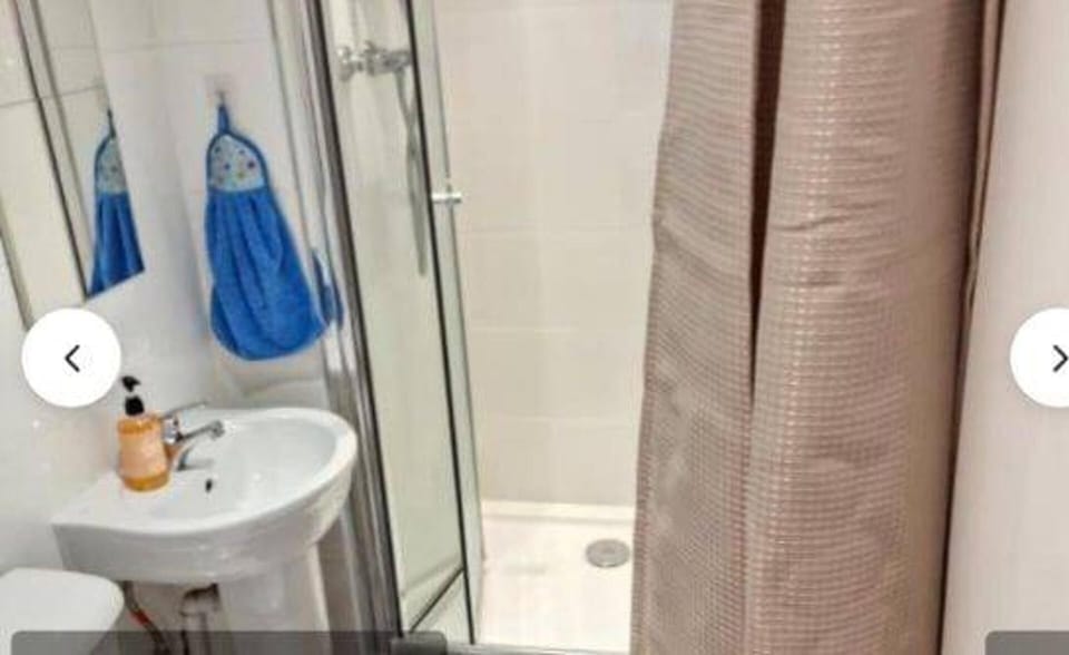 Apartment | Bathroom | Shower, hair dryer, towels