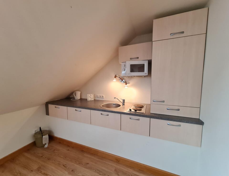 Apartment | Private kitchen | Fridge, electric kettle, cookware/dishes/utensils