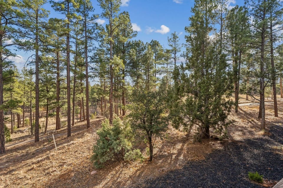 Townhome, 4 Bedrooms | Miscellaneous