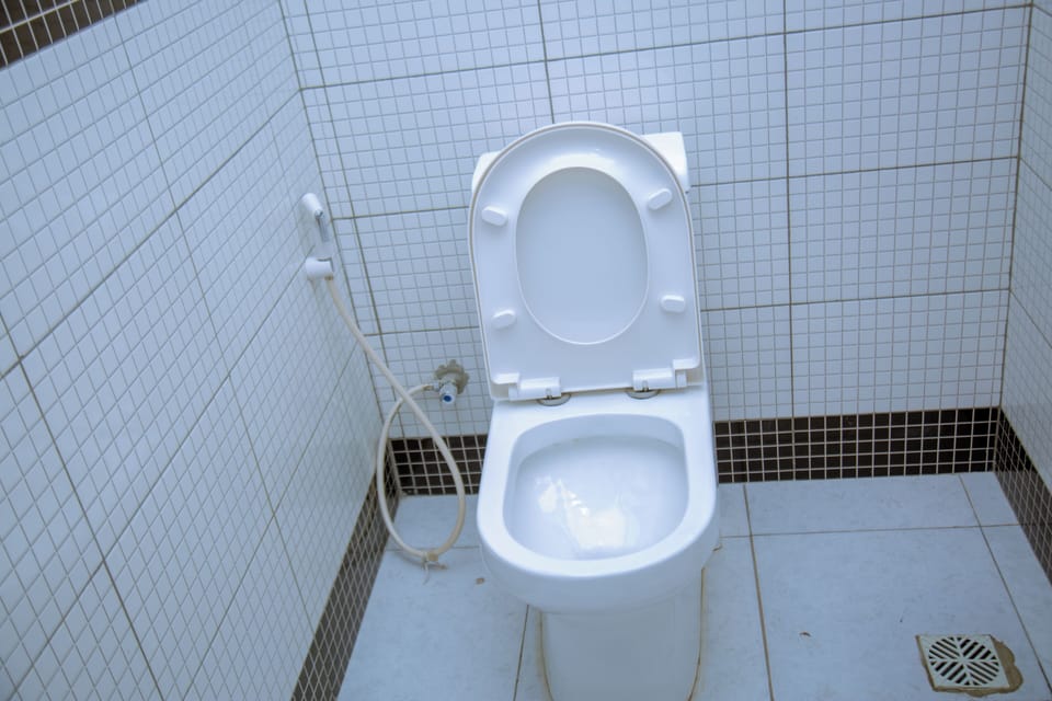 Raised toilet seat