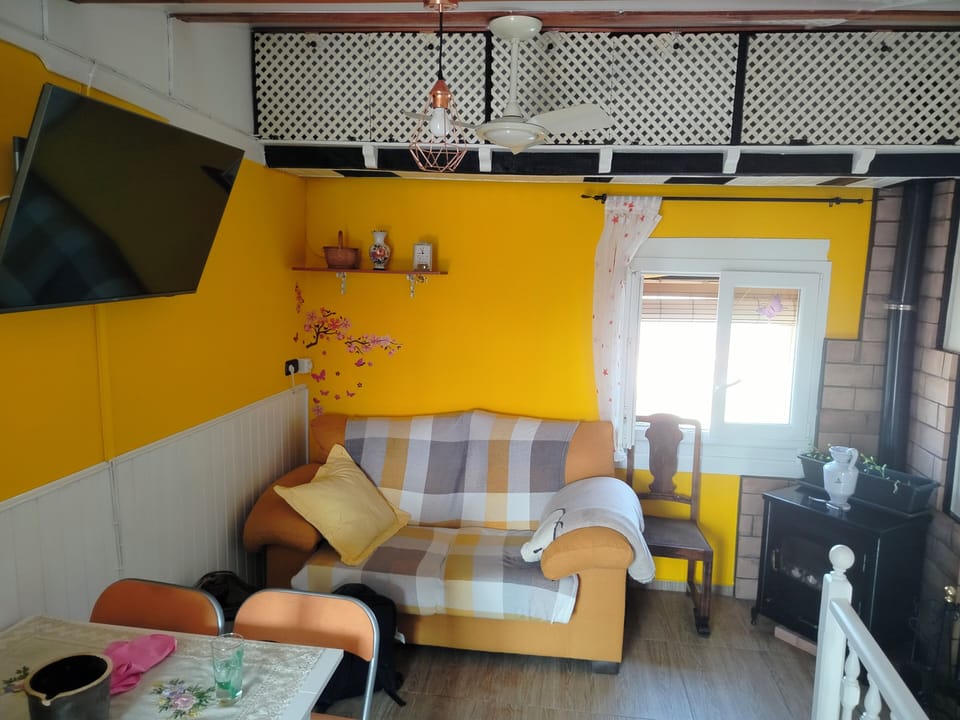House | Living area | Fireplace