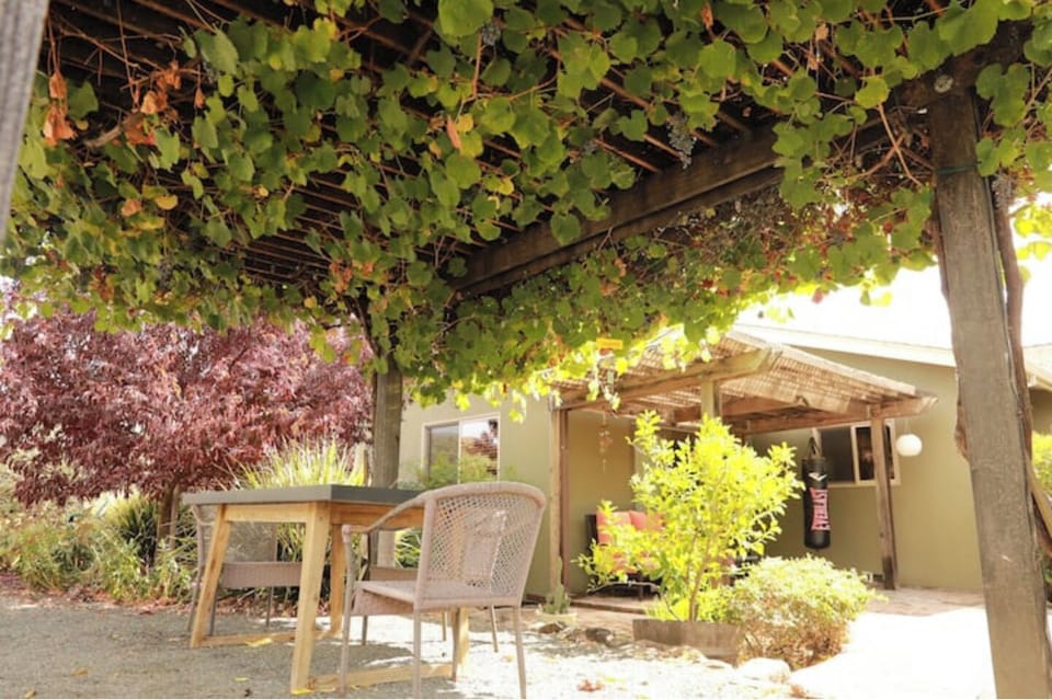Patio #5 Under Bocce Pergola